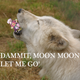Image for article titled Kotaku 'Shop Contest: That Wizard Came From The Moon: The Winners!